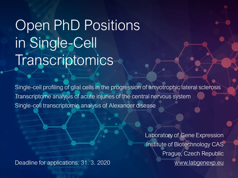 cell biology phd positions